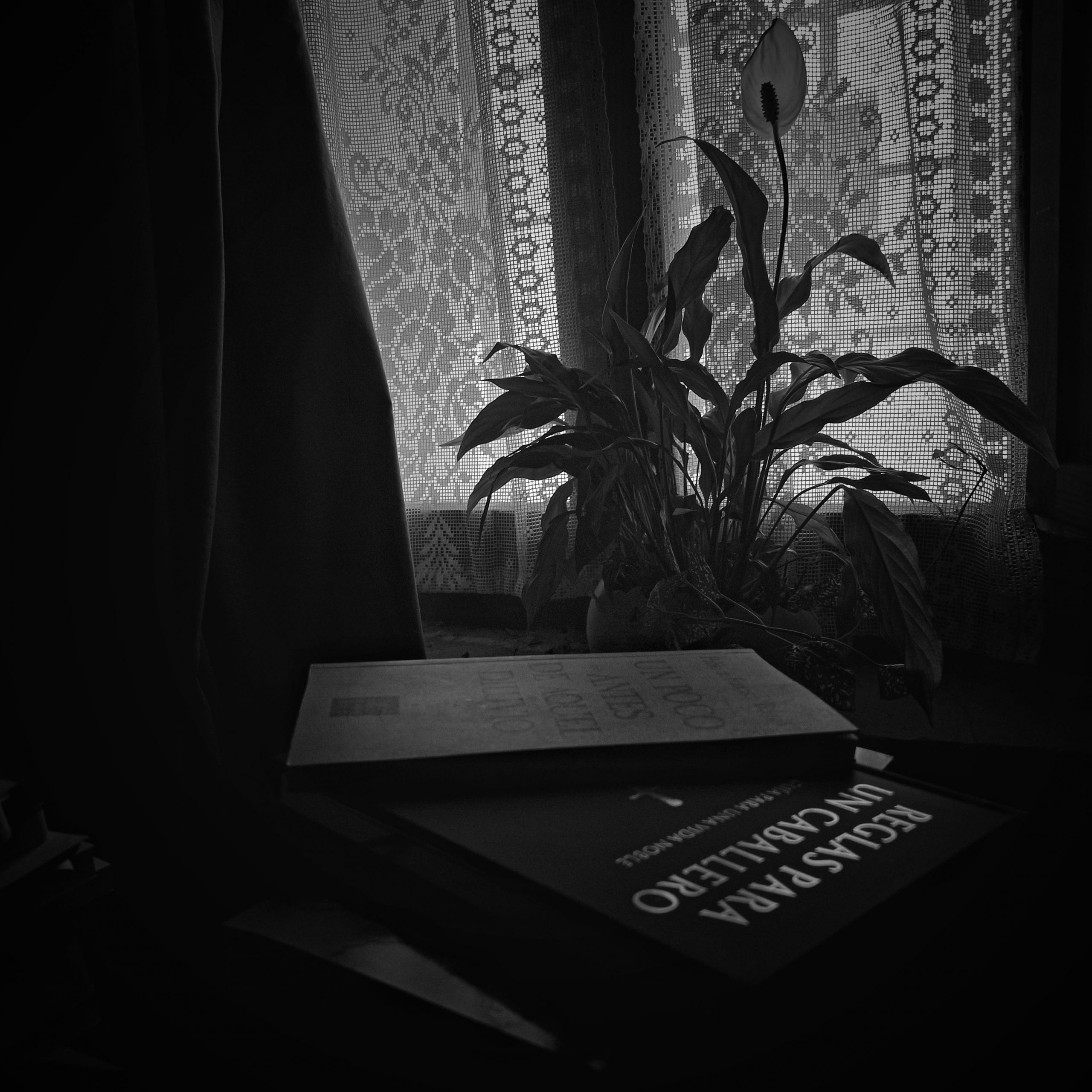 Manuales